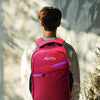 Avita Backpack Laptop Bag  (Maroon)